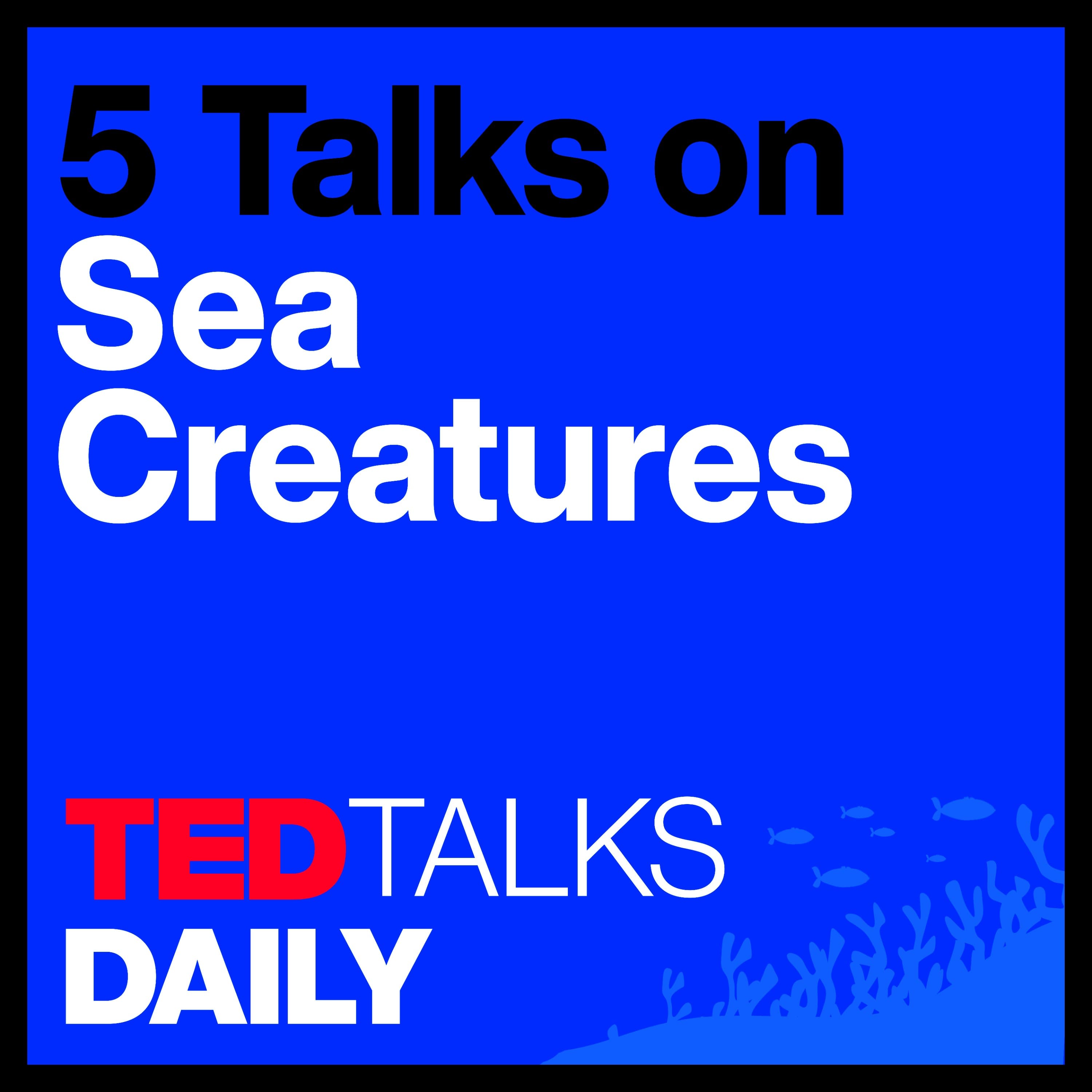 The Mystery of Sea Creatures (4/5): Are we interrupting the kinky sex lives of fish? | Marah J. Hardt